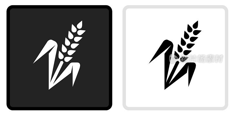 小麦植物图标上的黑色按钮与白色滚动