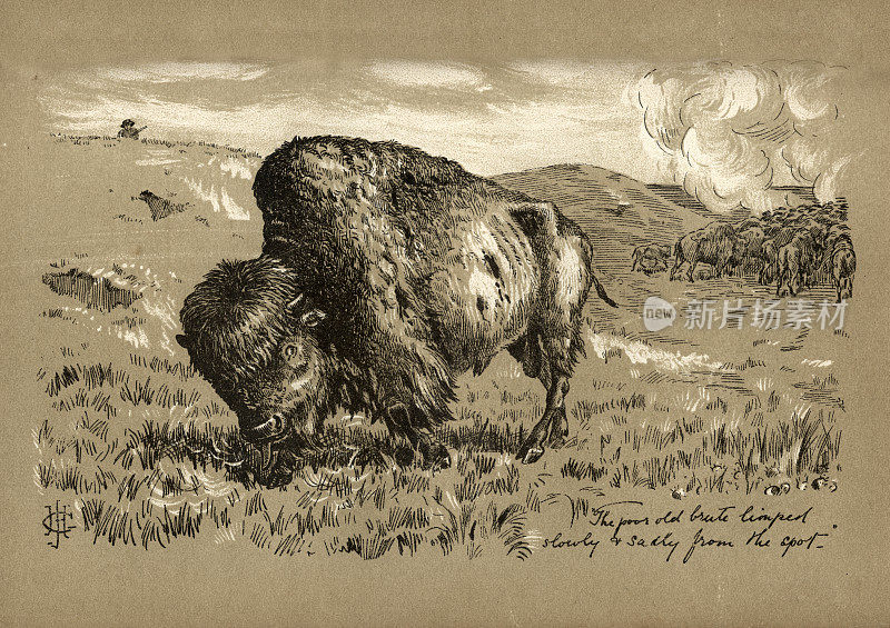 狩猎附近的华莱士堡，堪萨斯，大平原，美国狂野西部，19世纪