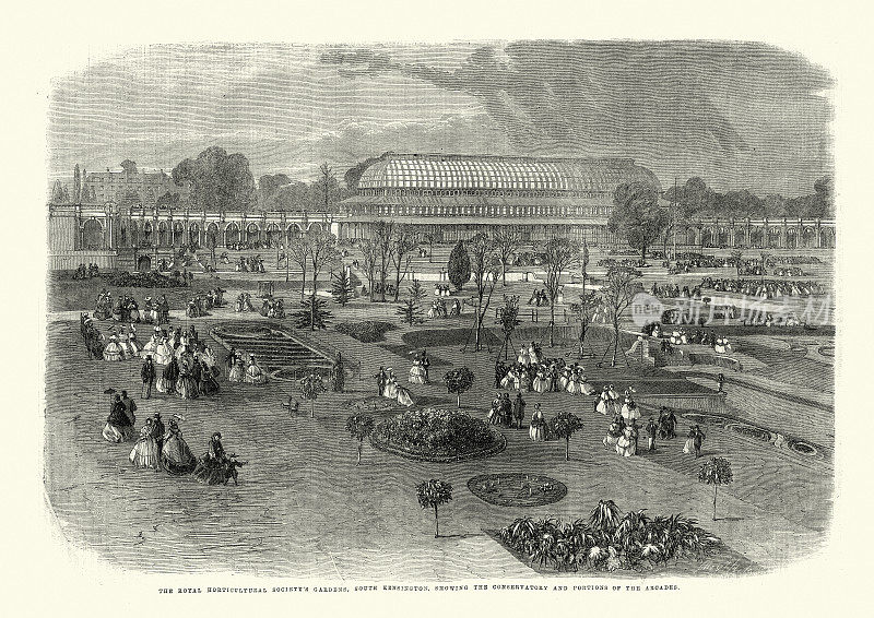 皇家园艺学会花园，南肯辛顿，1861年，19世纪