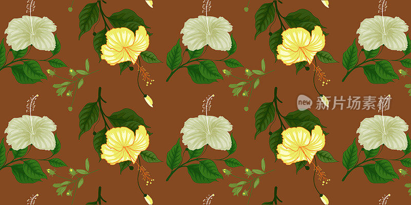 美丽的无缝矢量花卉图案，春夏背景，丛林树叶，芙蓉，异国情调墙纸