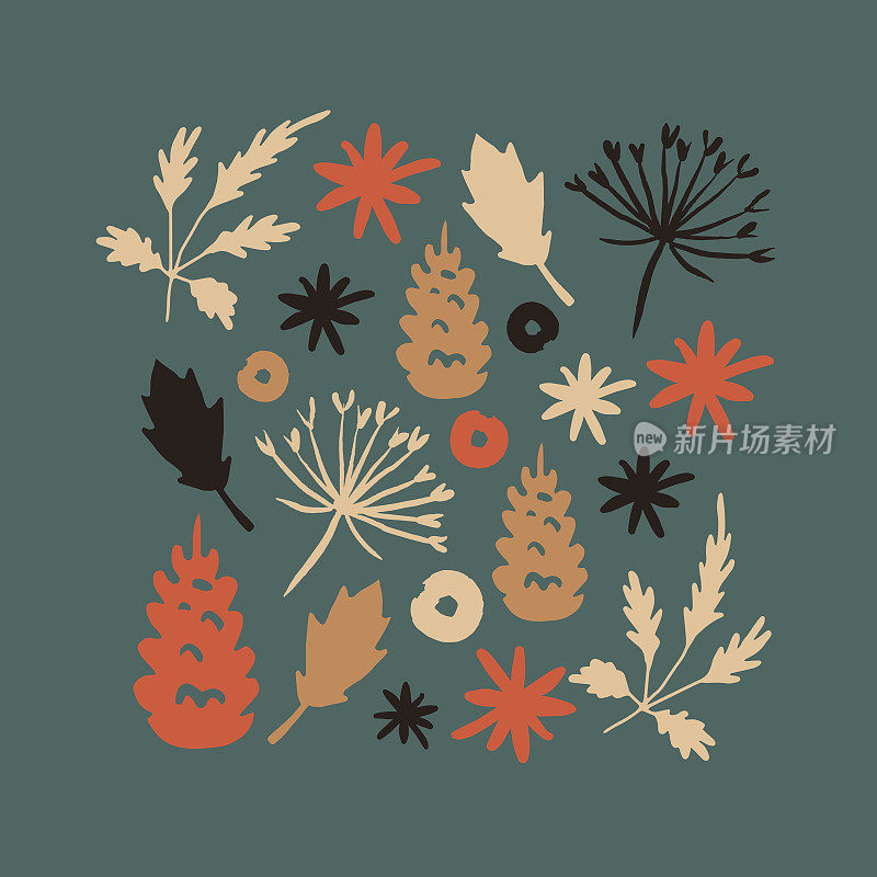 斯堪的纳维亚森林的叶子，花，锥，花手绘矢量插图