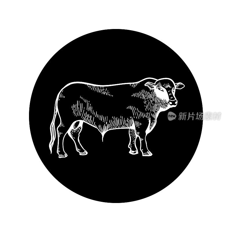 公牛图标上的黑色背景展望。雕刻画素描。用于农业、养牛和牛肉