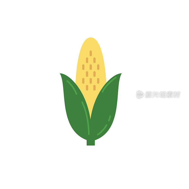 玉米芯农业图标在平坦的颜色上透明的背景