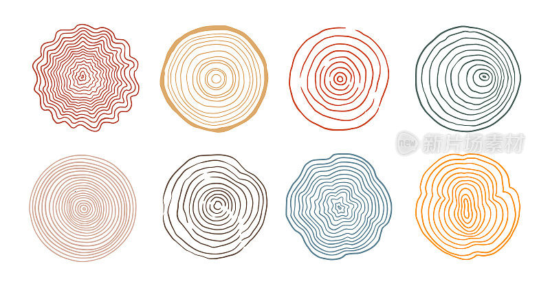 树年轮木圆套。手绘树年轮图案，线纹圆木纹理。木质有机切片线条设计。向量