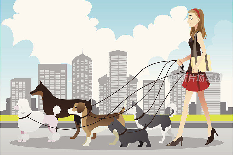 一个女人在城市公园遛五条狗的漫画