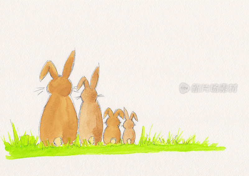 兔子家族