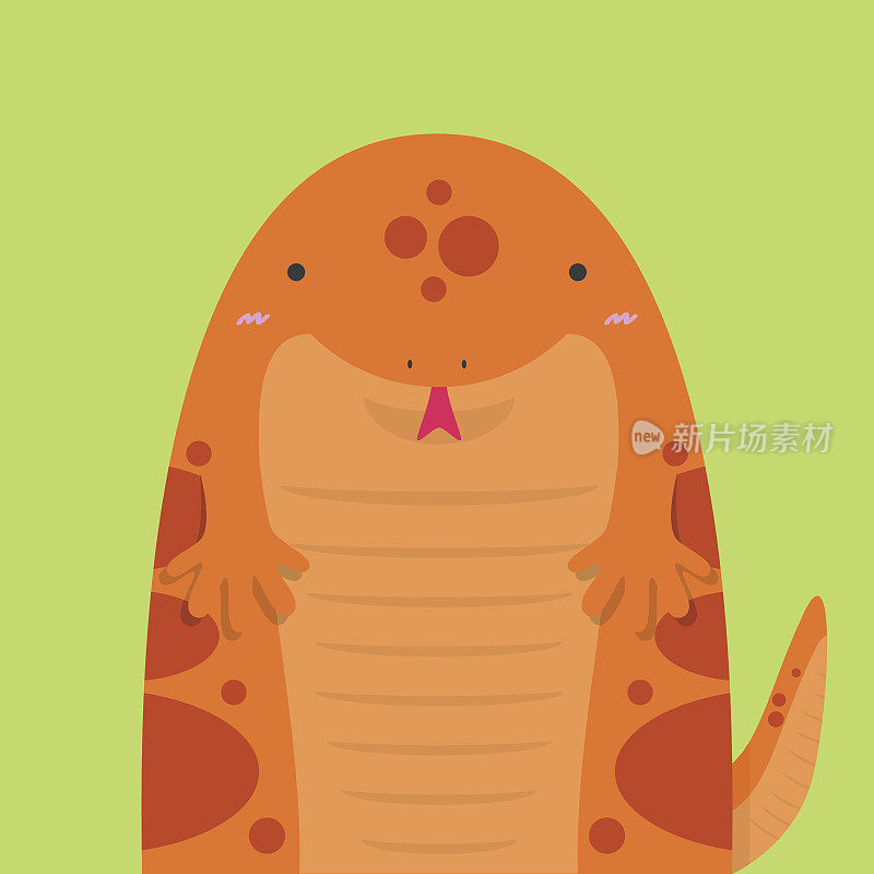 可爱的又大又肥的红色蝾螈