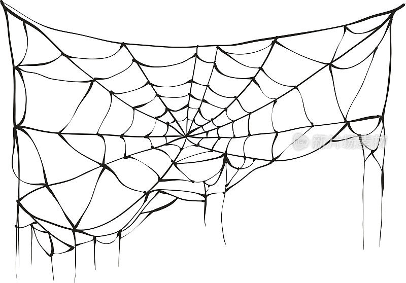 白色背景上的破蜘蛛网