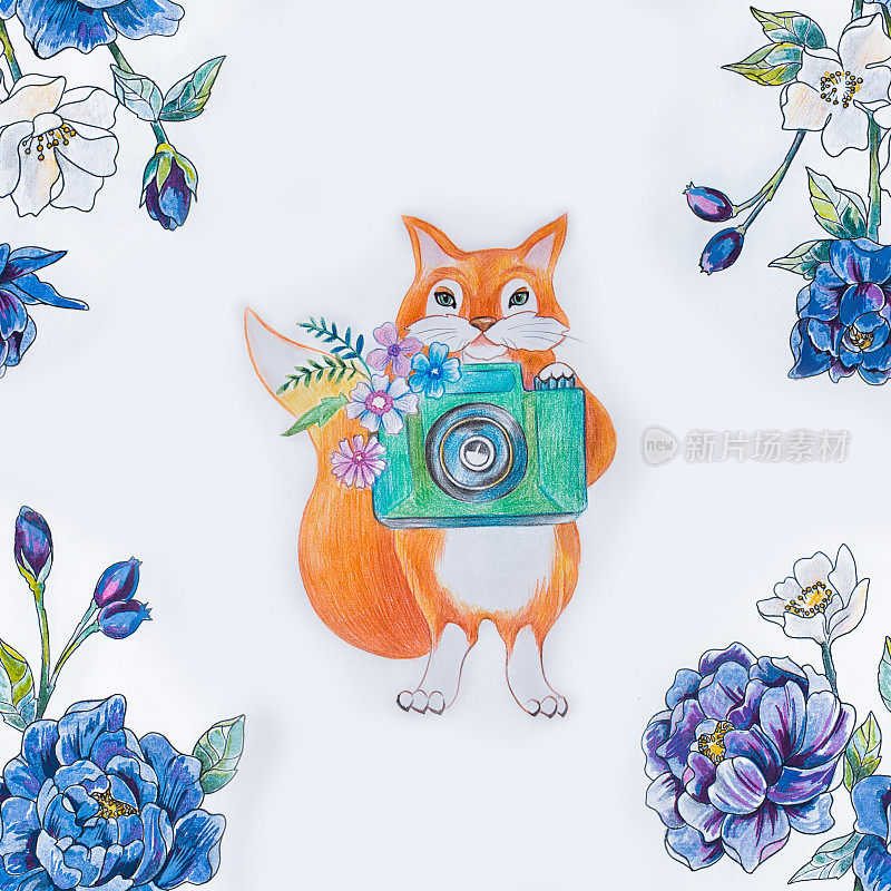无缝模式狐狸与相机和蓝色的花在白色的背景。