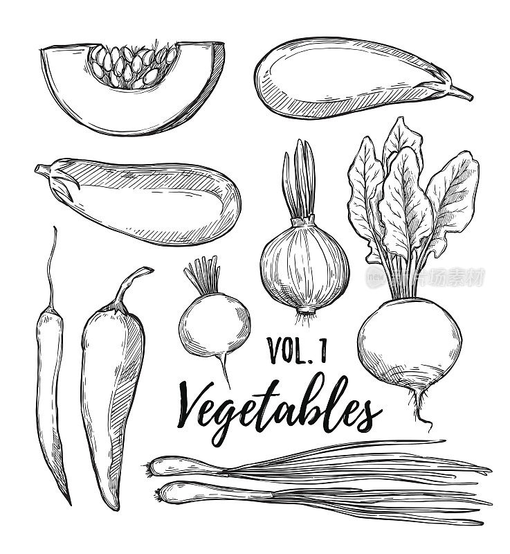 手绘矢量插图-收集蔬菜卷1(南瓜，茄子，洋葱，胡椒，萝卜，辣椒)。草图风格的设计元素。
