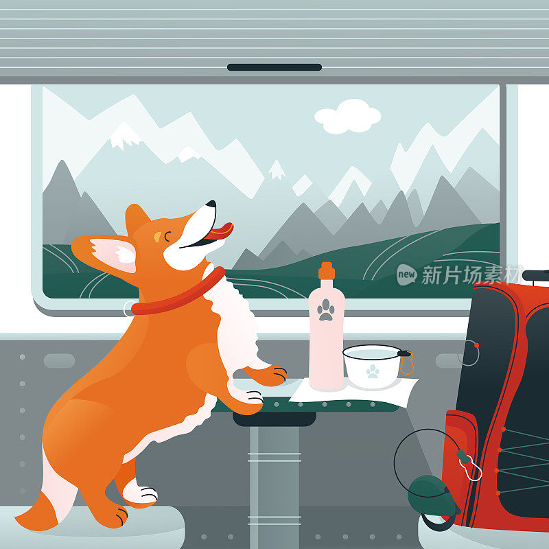 宠物旅行假期在铁路上。
