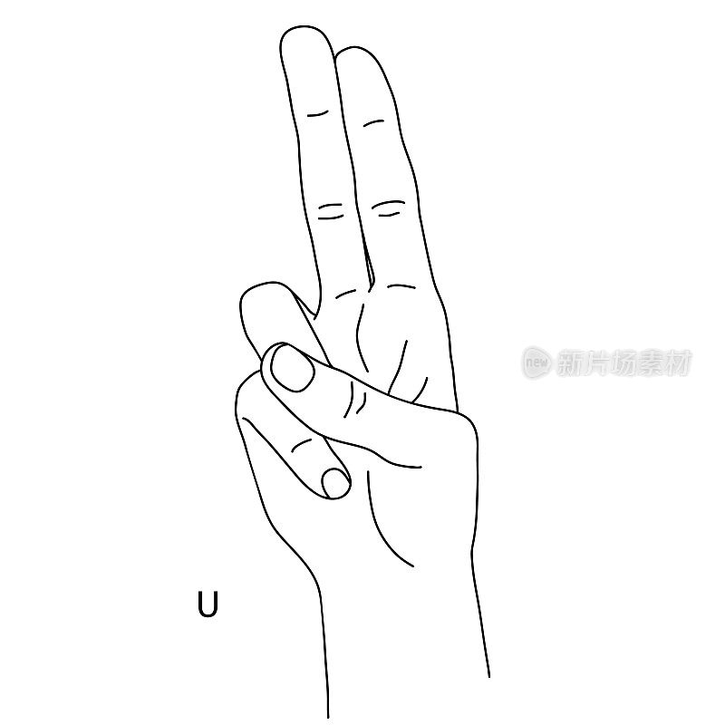 U是手语字母表中的第21个字母。用食指和中指向上的姿势。一只手的黑白画。聋哑语言