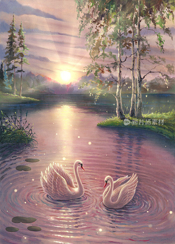 油画写实的自然景观插图，神奇的湖与天鹅在森林绘画艺术，日落或日出，美丽的池塘水，绿色的树木，白色的鸟艺术品。