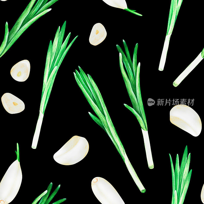 大蒜和大葱。水彩的插图。孤立在黑色背景上。为设计。