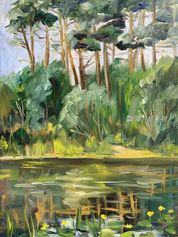 夏天的森林景观有松树、湖泊和睡莲，油画。