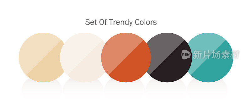 时髦的调色板材料，配色方案，色表，色板，和基本颜色。