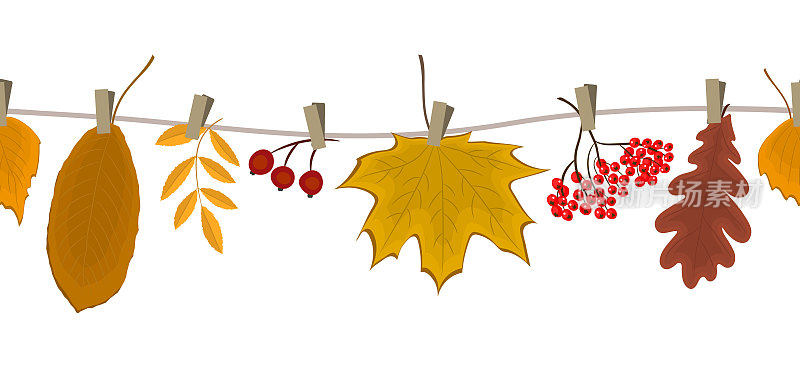 你好秋天无缝边界。秋天的树叶和浆果挂在晾衣绳上