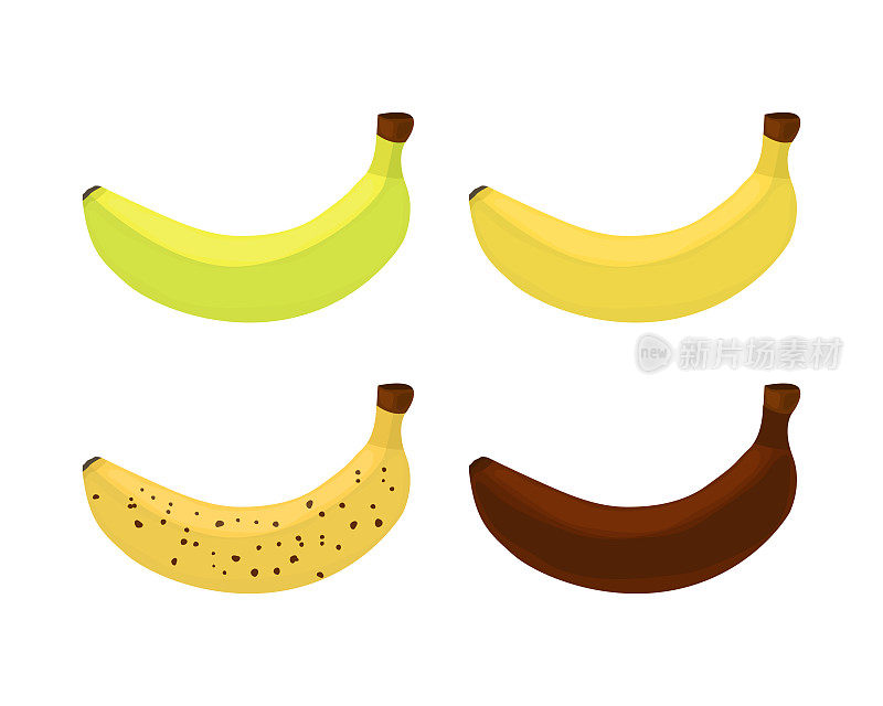 绿的、熟的和烂的香蕉。水果成熟的水平。矢量插图孤立在白色背景上。