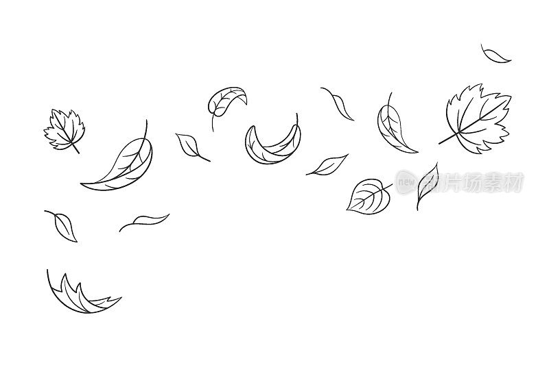 树叶落在涂鸦风格，矢量插图。在有风的天气挥动冷空气。枫叶轮廓用于印刷和设计。孤立的黑色元素在白色背景。秋天象征自然