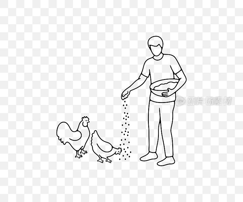 人喂鸡谷物从篮子，公鸡和母鸡，线性平面设计。动物，鸟，农业，农场，鸡笼和家禽院子，矢量设计和插图