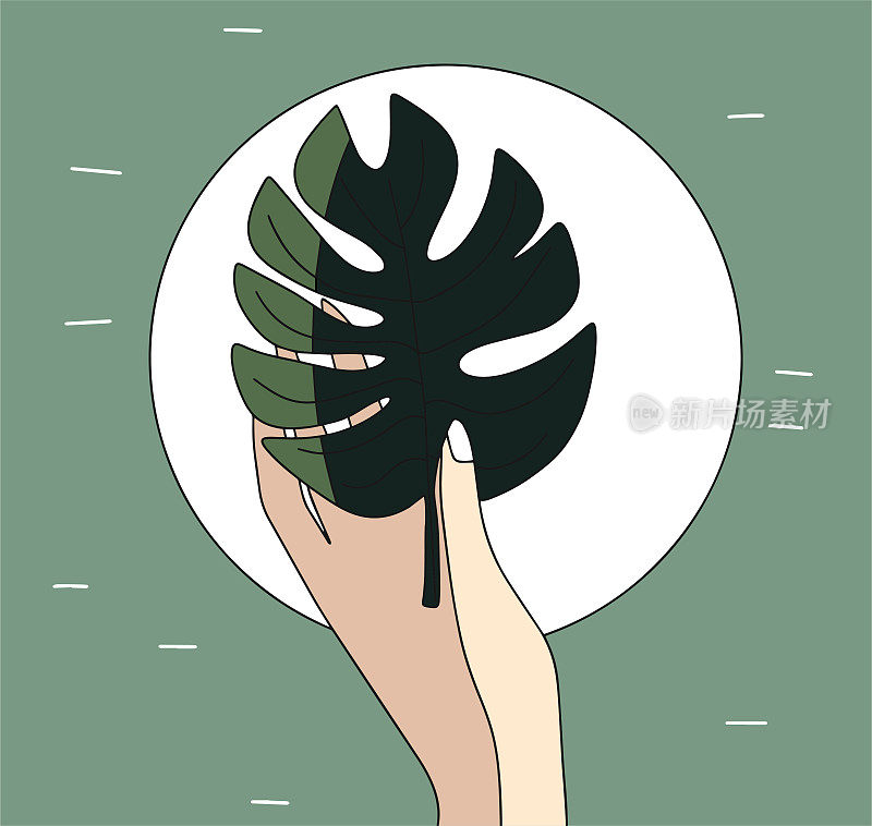手握着一片棕榈叶。手握着植物的叶子。环境保护。自然之美。矢量图形。平的风格