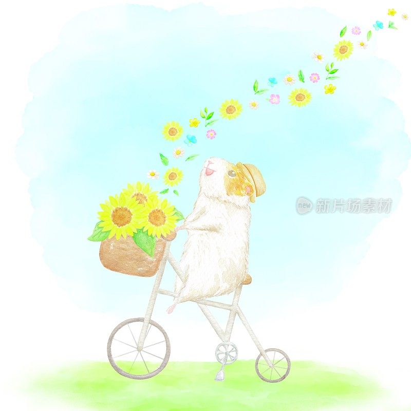 一只仓鼠和一辆自行车的可爱插图。一个时髦的场景，鲜花从挎着一束向日葵的自行车篮子里翩翩起舞。