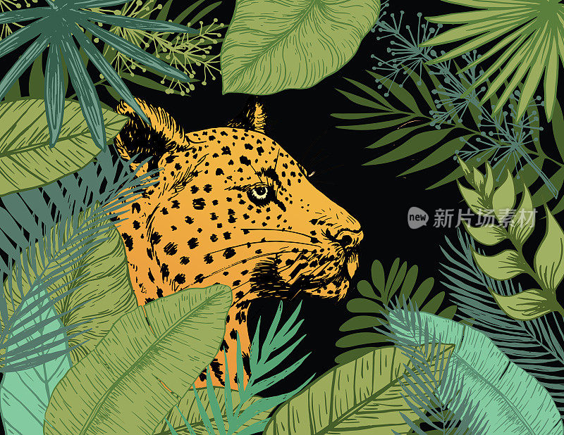 丛林场景，一只豹子穿过树叶