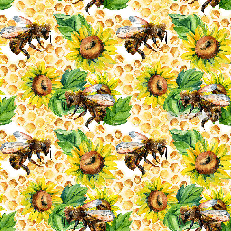 水彩画蜜蜂、花朵和蜂巢的无缝图案