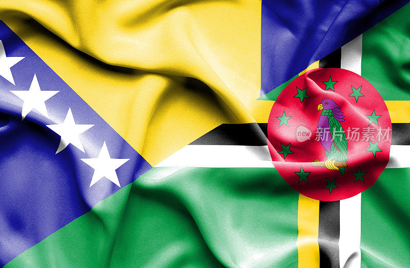 挥舞着多米尼加和波斯尼亚-黑塞哥维那的旗帜