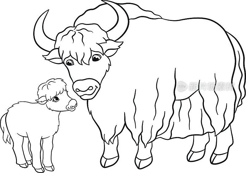 着色页面。漂亮的牦牛和小牦牛。