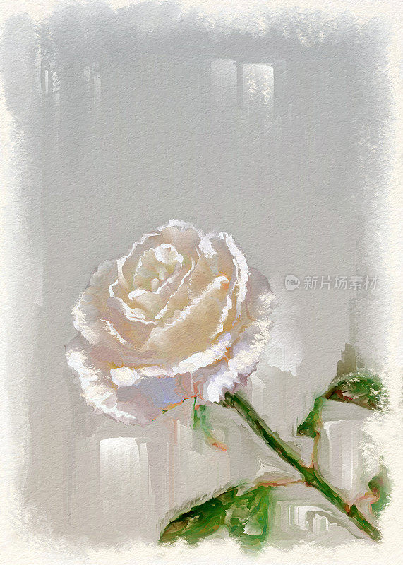 复古风格的白色玫瑰漆