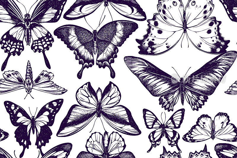 金蝶、紫斑燕尾蝶、凤蝶、森林珍珠母、八角剑尾、翡翠燕尾蝶、丛林女王、素虎等艺术无缝图案