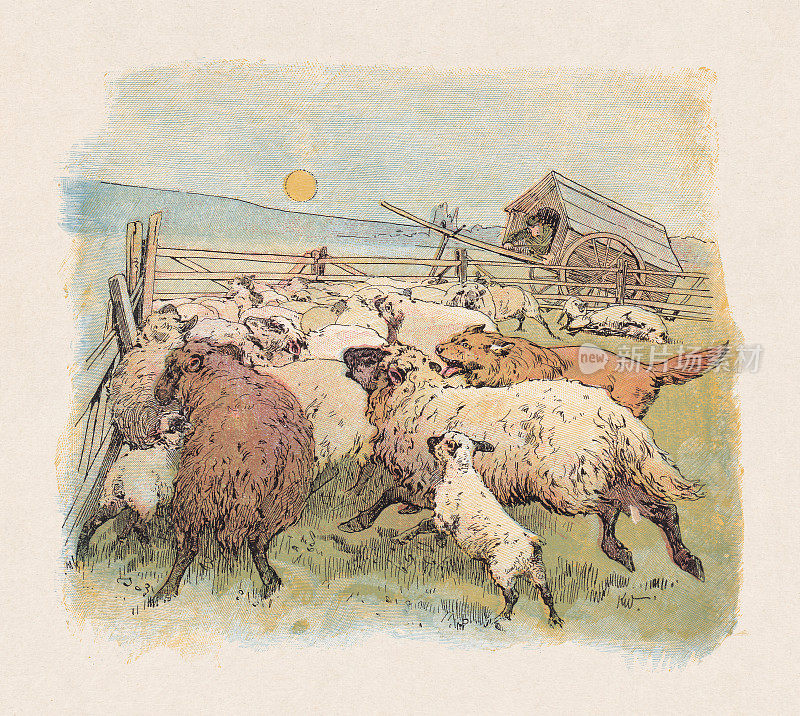 《狼攻群羊》，彩色木刻，出版于1897年