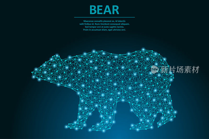 由点和线制作的熊，多边形线框网格，低多边形动物插图。
