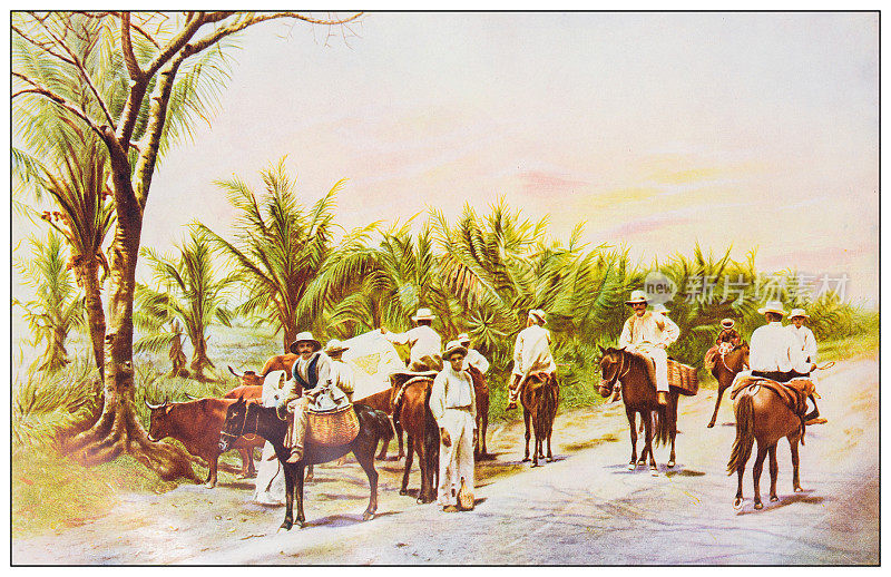 古董彩色照片:从波多黎各阿奇ibo附近的市场回来