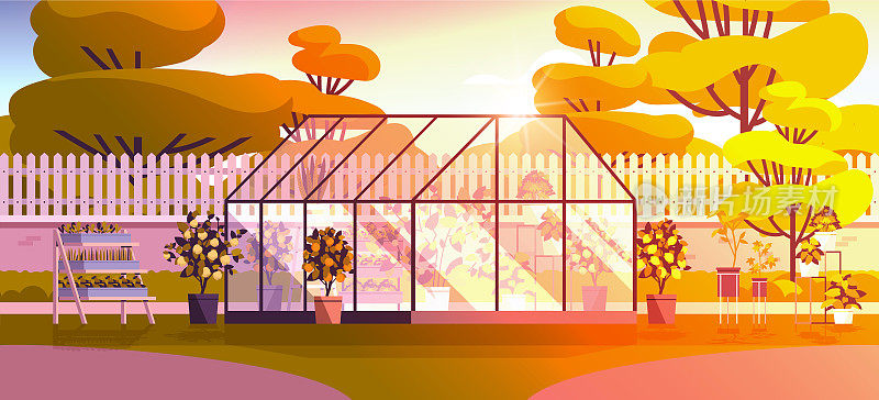 后花园种植温室玻璃橘园，配有花卉和盆栽水平植物