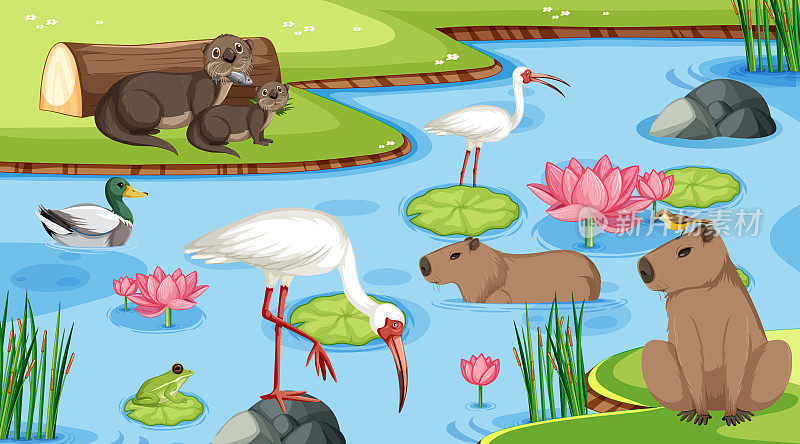 池塘里有各种各样的动物