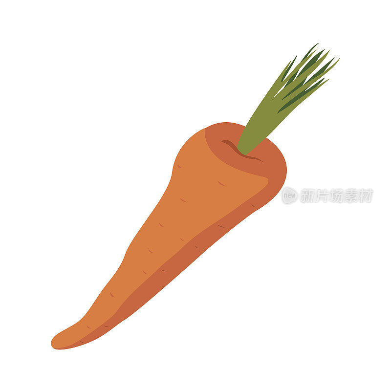 胡萝卜孤立。白色背景上的橙色蔬菜。吃素食