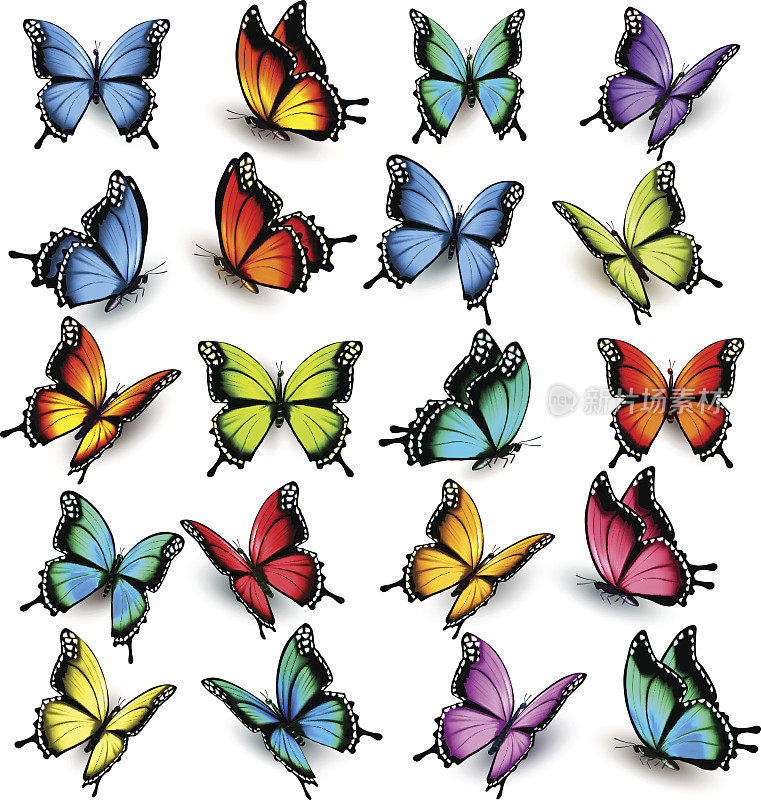 收集五颜六色的蝴蝶，飞向不同的方向。