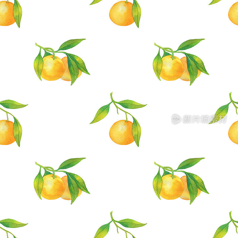 无缝图案与新鲜的柑橘类水果，柑桔孤立在白色的背景