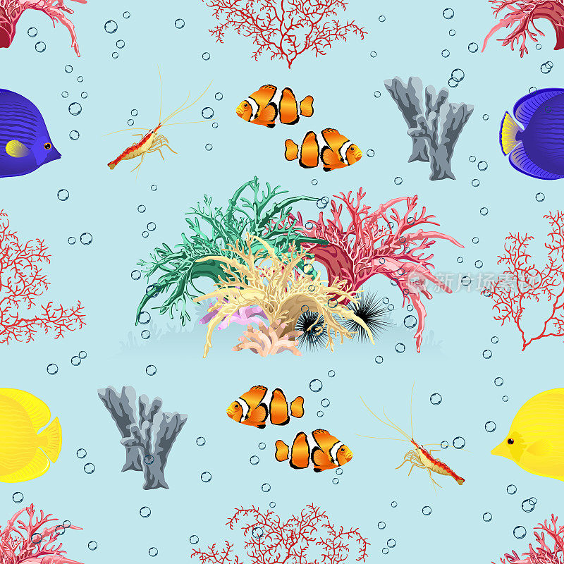 无缝矢量模式与海珊瑚，各种热带鱼，气泡和虾在浅海蓝色的背景。