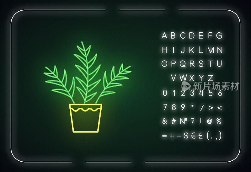 客厅palm霓虹灯图标。Chamaedorea线虫。Neanthe贝拉棕榈。室内热带植物。外发光效果。用字母、数字和符号签名。矢量隔离RGB颜色插图