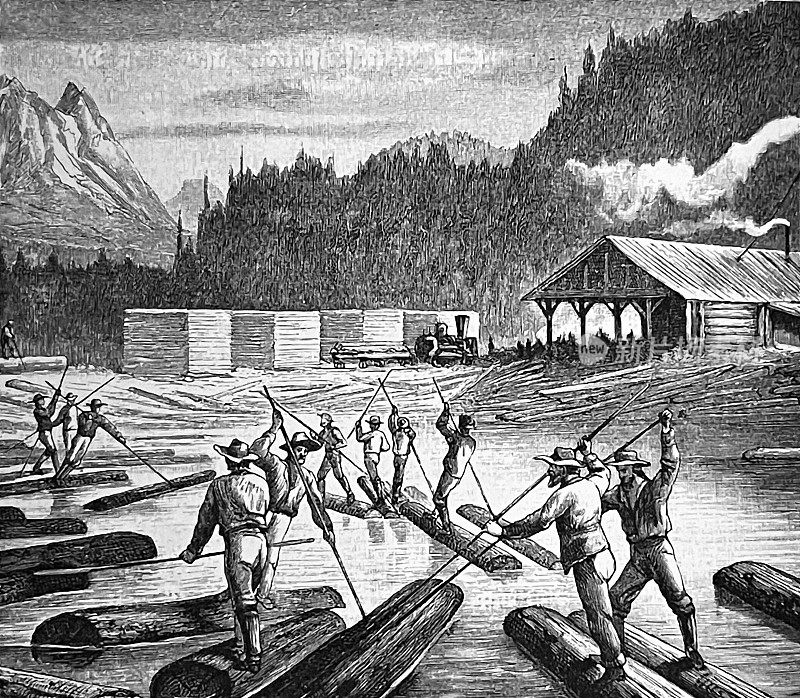 加拿大木材raftsmen