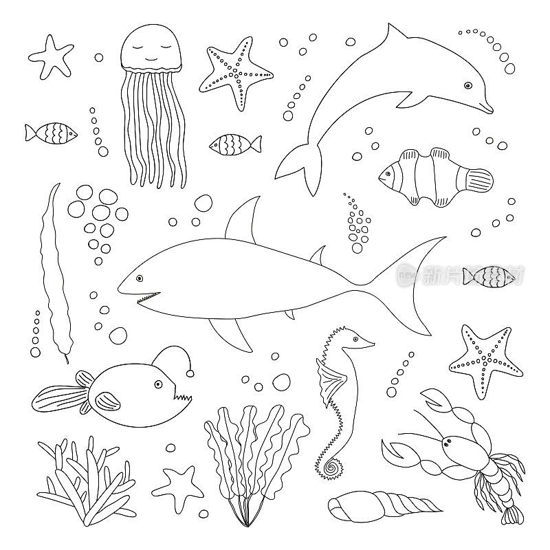 涂鸦海洋动物和鱼集