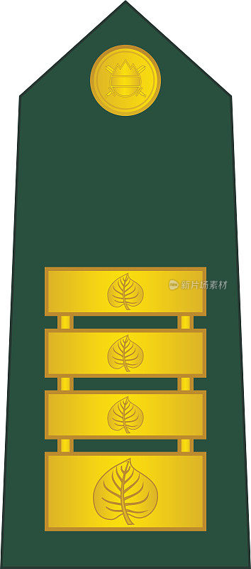 肩垫北约军官徽章的斯洛文尼亚上校
