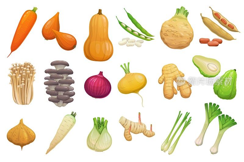 卡通蔬菜，豆类和蘑菇向量集