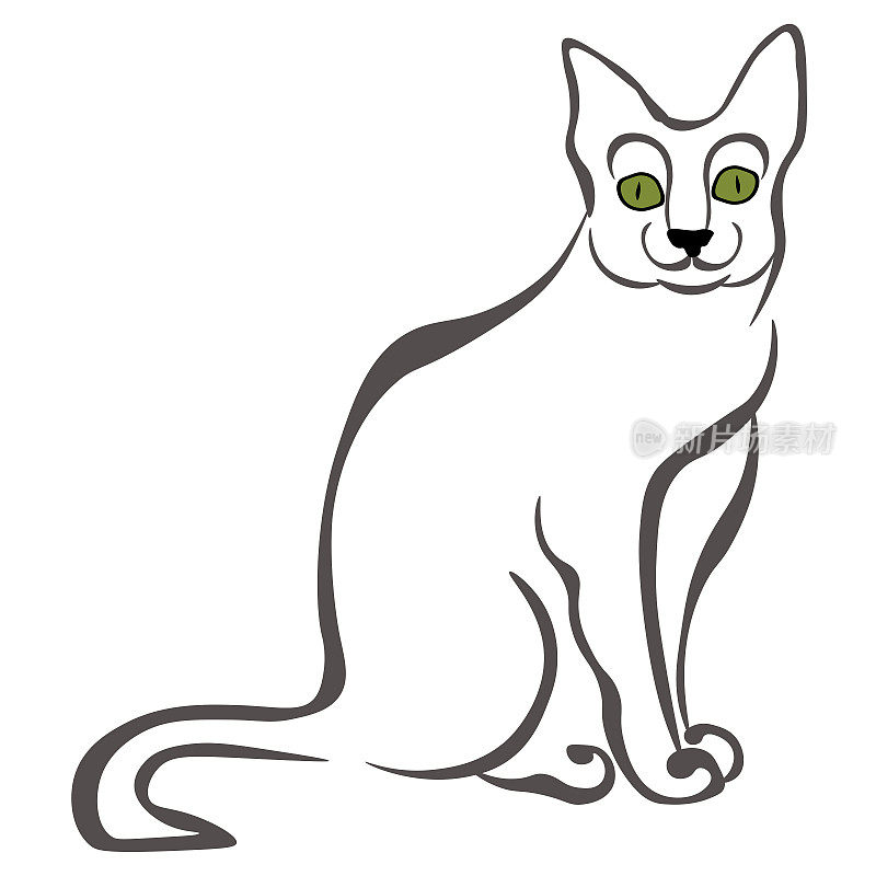 Korat猫，家养宠物的风格化肖像