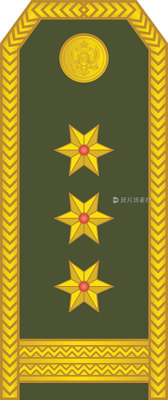 黑山共和国军官徽章普科尼克(上校)