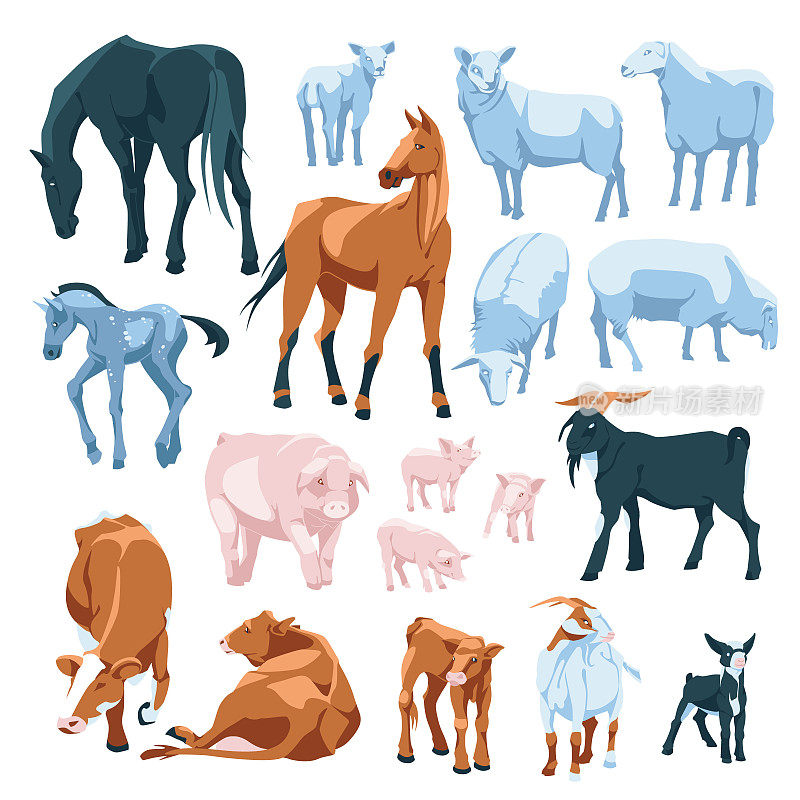 一组农场动物:马，牛，猪，山羊孤立在白色背景上。矢量平面插图。农业、农业和养牛业