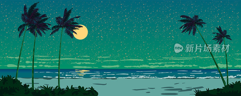 海边的夜景，月亮，沙滩，棕榈树，星空，地平线